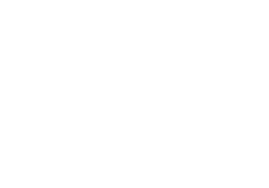 logo agence web Monarkit
